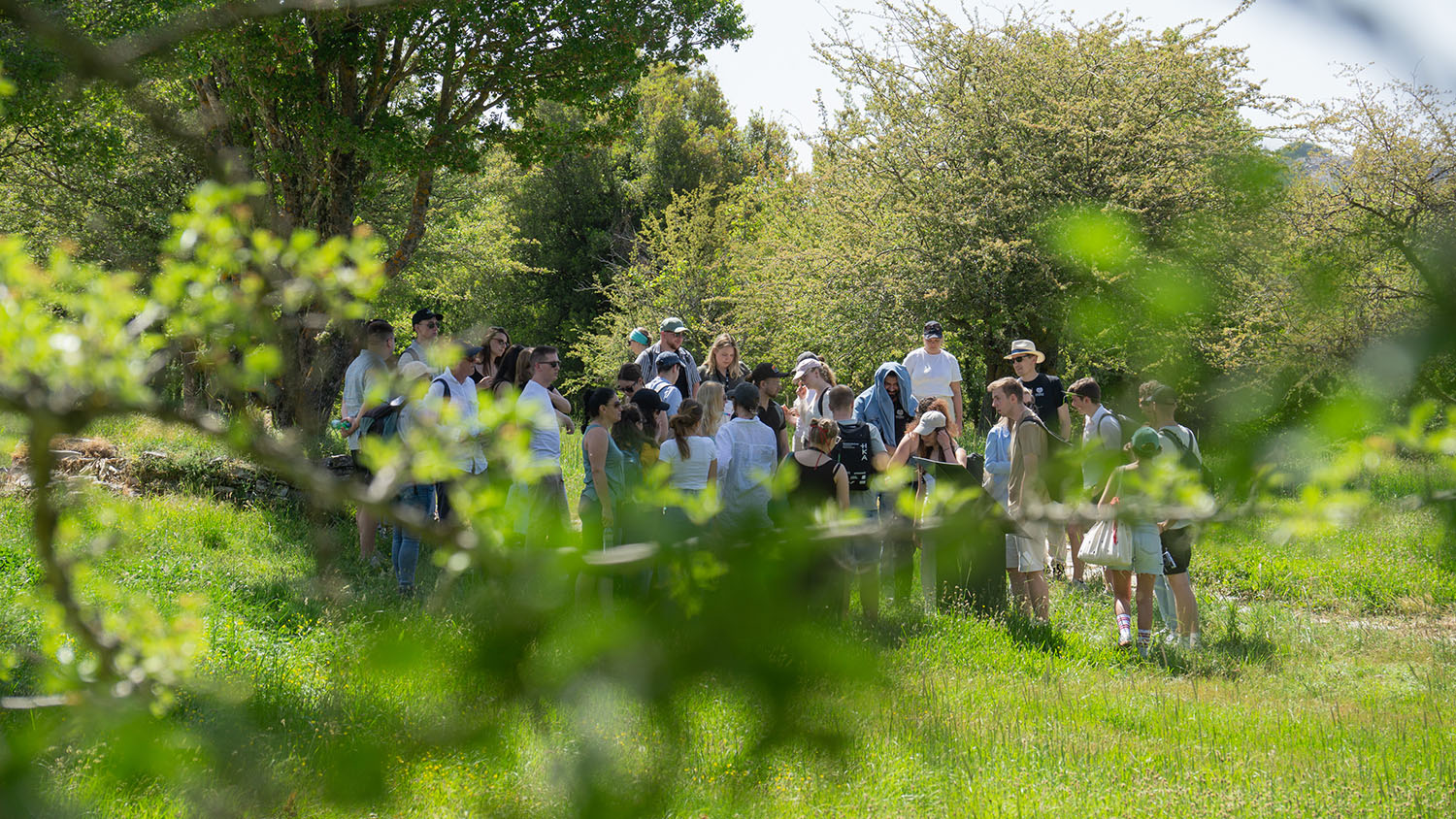 People in the a park at the 10 Days of INGENIUM event